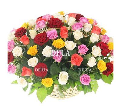Basket of 251 multi-colored roses
