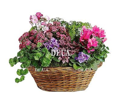 Basket of flowers