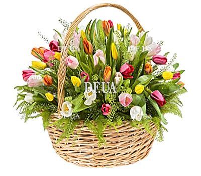 Basket of tulips