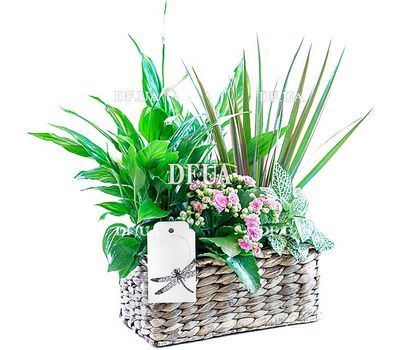 Basket with house colors