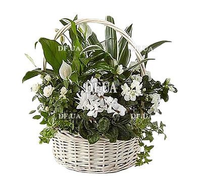 Basket with flowers as a gift