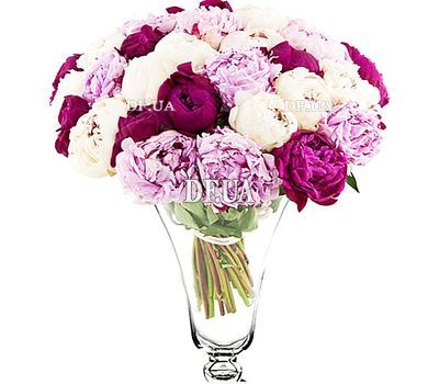 Beautiful bouquet of peonies