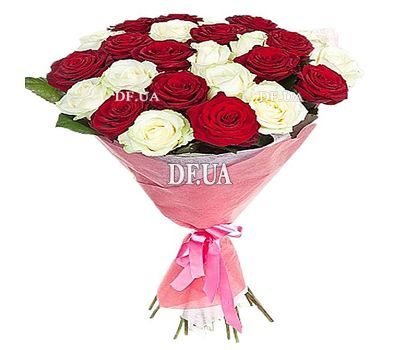 25 red and white roses