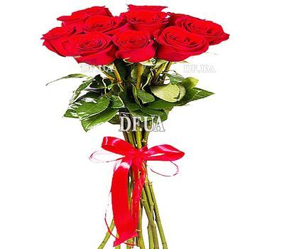 Red roses on a long leg