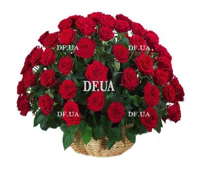 Red roses in the basket of a man for an anniversary