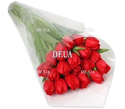 Red tulip in a bouquet