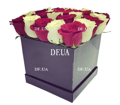 Square box with white and red roses