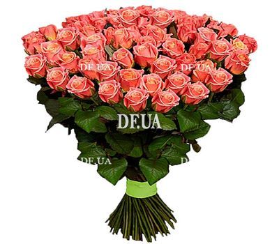 101 peachy roses