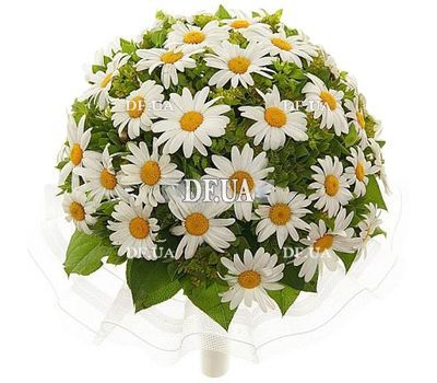 Величезний букет ромашок
