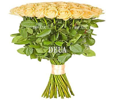 Peach-colored roses