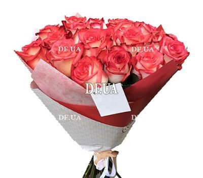 Roses Blush