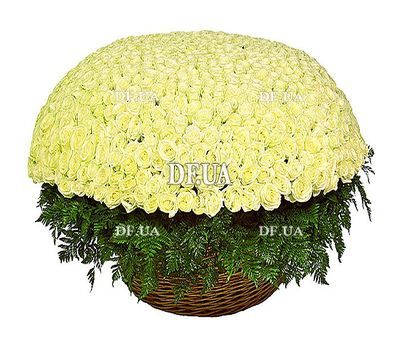 The largest bouquet of white roses