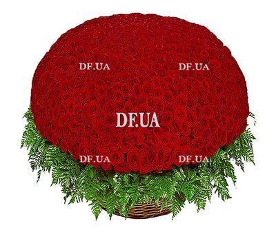 The largest bouquet of red roses - 1001 roses