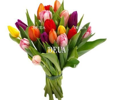 Spring flowers tulips