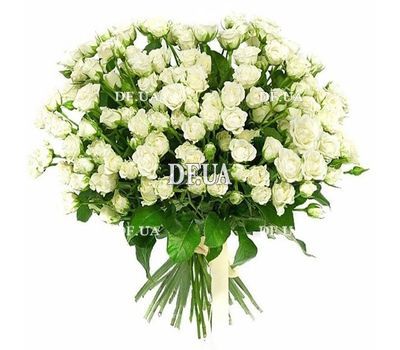 31 white spray rose