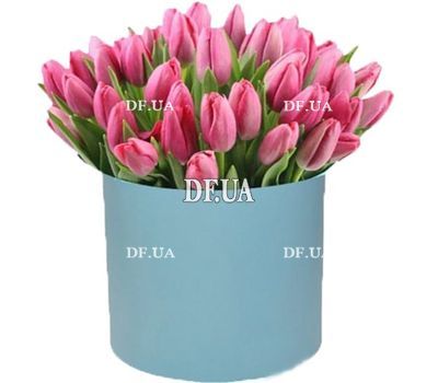51 pink tulips in a box