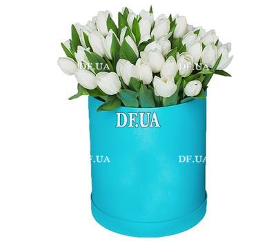 55 white tulips in a box