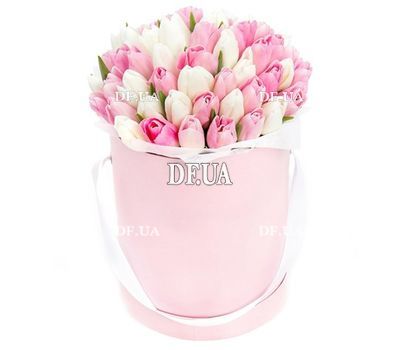 White and pink tulips in a box