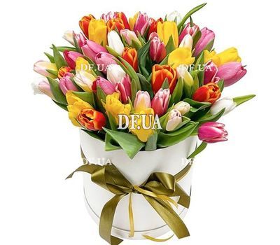 Large box of tulips