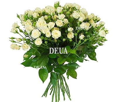 Bouquet of white spray roses
