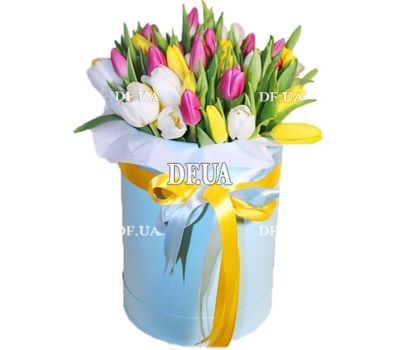 Box of 35 tulips