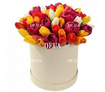 Multicolored tulips in a box
