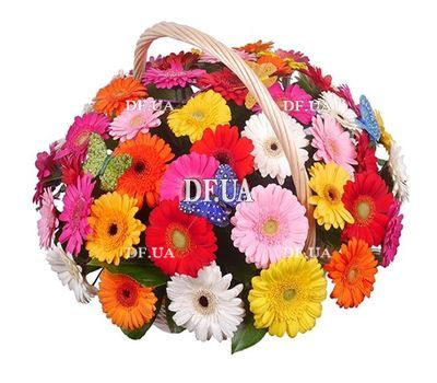 51 gerberas in basket