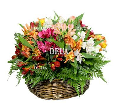 Alstroemeria in the basket