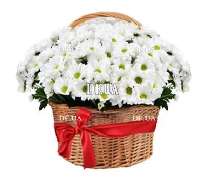 Large basket of daisy chrysanthemums