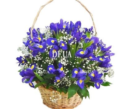 Bouquet of irises in a basket