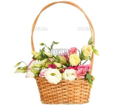 Eustomams in the basket