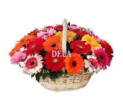 Gerberas in the basket