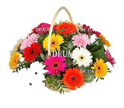 Корзина из 21 герберы