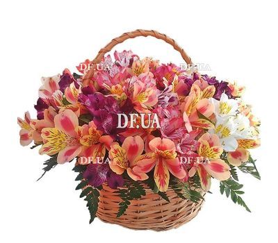 Basket of 25 Alstroemeria