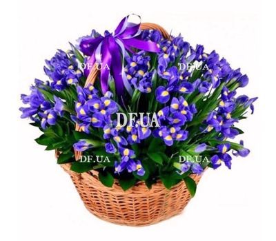 Basket of 75 blue irises