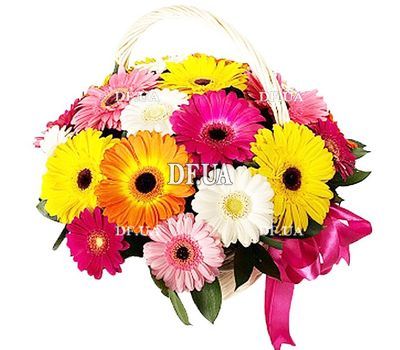 Корзина из 25 гербер
