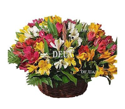 Colorful basket of alstromeries