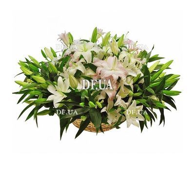 Lilies in the basket