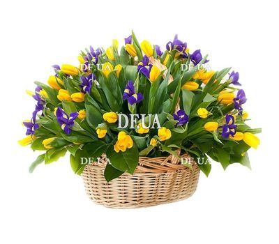 Yellow tulips and irises in a basket