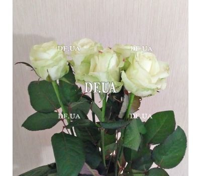 Маленький букет из 5 роз вид 2