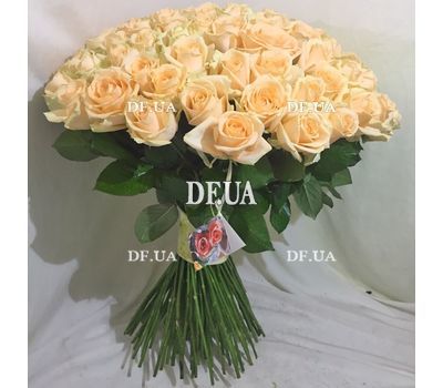 101 кремовая роза - вид 1