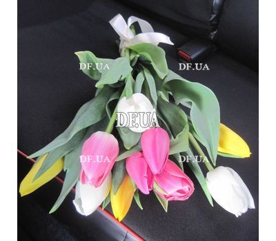11 tulips - view 4