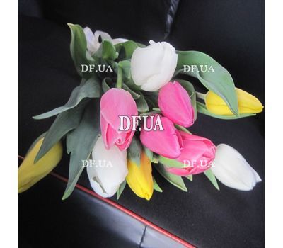 11 tulips - view 5