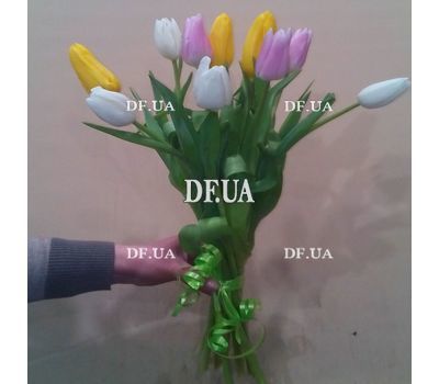 11 tulips - view 6