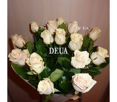 15 cream roses - view 1