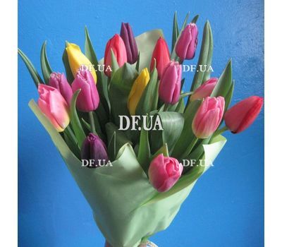 15 tulips bouquet - view 2