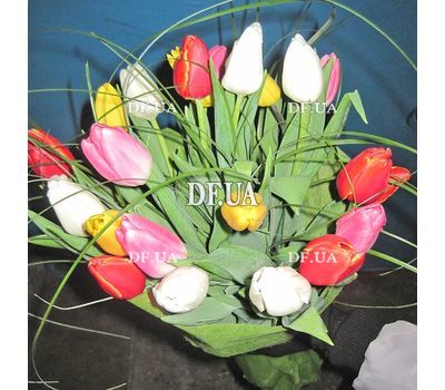 21 tulip - view 9