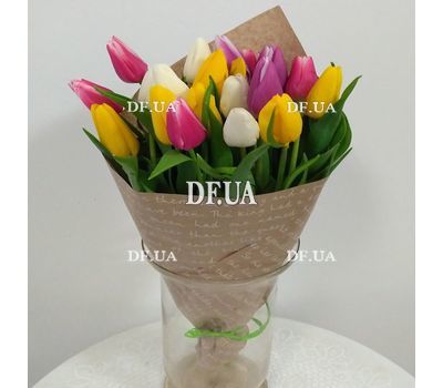 21 tulip - view 1
