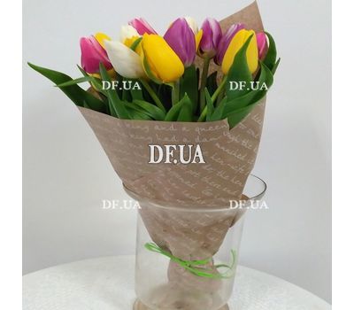21 tulip - view 2