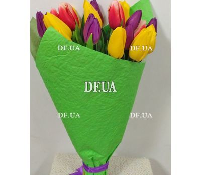 21 tulip - view 4